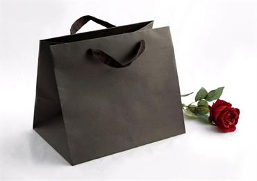 BAG COLOMBA Manico FETTUCCIA - Cm.35x25x30