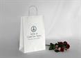BAG con STAMPA - Cm.22x12x31