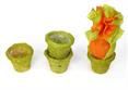 CACHEPOT Verde diam. Cm.12