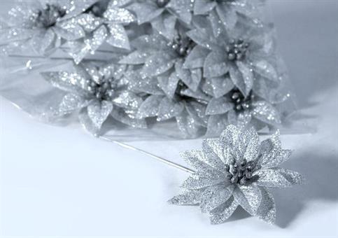 STELLA NATALE ARG/ORO