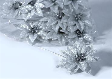 STELLA NATALE ARG/ORO