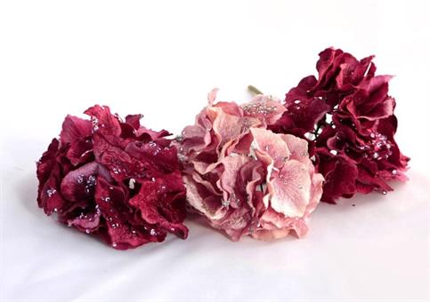 ORTENSIA Bordeaux/Rosa