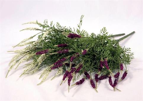 LAVANDA PANNA/FUXIA - Cm.40