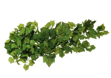 CADENTE Verde - Cm.113