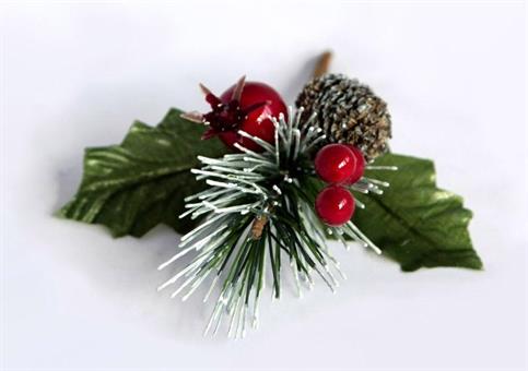 AGRIFOGLIO VARIEGATO CM.52