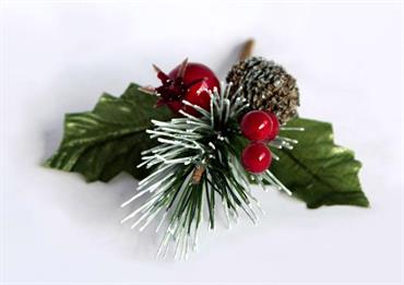 AGRIFOGLIO VARIEGATO CM.52