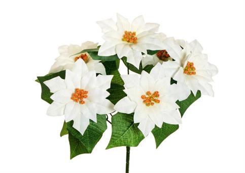 MINI-STELLA BUSH cm.37 Rossa/Panna