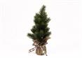 ALBERO SACCO JUTA - Cm.40