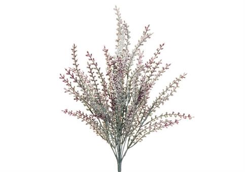 BUSH ERICA - Cm.44