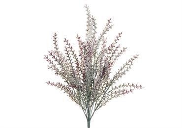 BUSH ERICA - Cm.44