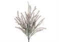 BUSH ERICA - Cm.44