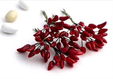 PEPERONCINO - Pz.144