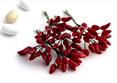 PEPERONCINO - Pz.144