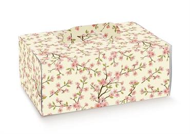 SCAT. COLOMBA CADEAUX 33X23X14 da kg.1