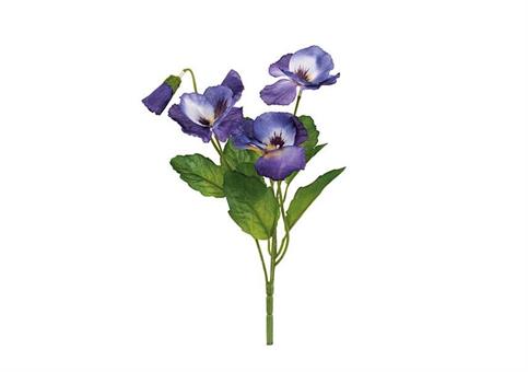 MAZZETTO PANSE'VIOLA/ROSA