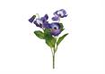 MAZZETTO PANSE'VIOLA/ROSA