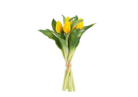 mazzo 7 tulipani gialli