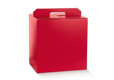 VALIG. PANETT.+BOTT. cm.43x24x35 FIBRA ROSSO