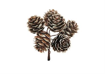 PICK PIGNA NATURALE cm.10