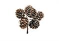 PICK PIGNA NATURALE cm.10