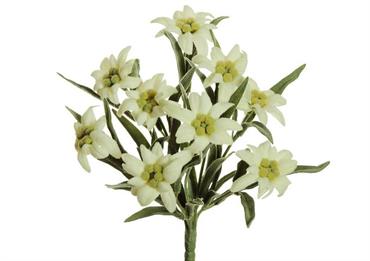 BUSH STELLA ALPINA FLOCCATA cm.26