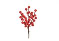 PICK AGRIFOGLIO cm.20 ROSSO