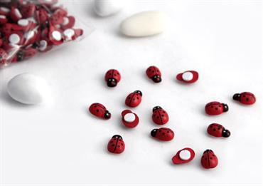 COCCINELLA mm.13 + BIADESIVO pz.120
