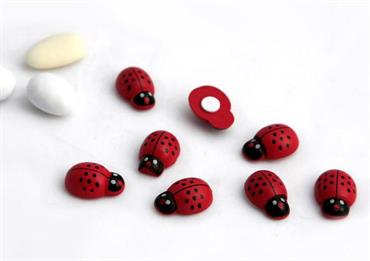 COCCINELLA mm.25 + BIADESIVO pz.40