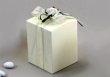 PIEGHEVOLE SETA Avorio - cm.9x9x14 CONF.10PZ.