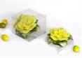 CANDELA Rosa/Gialla+FOGLIA CERAMICA Cm.7