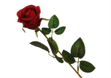 MINIROSA ROSSA CM.51