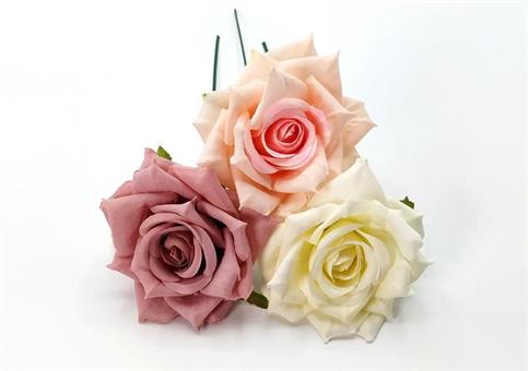 ROSA SINGOLA MAUVE/ROSA/CREMA