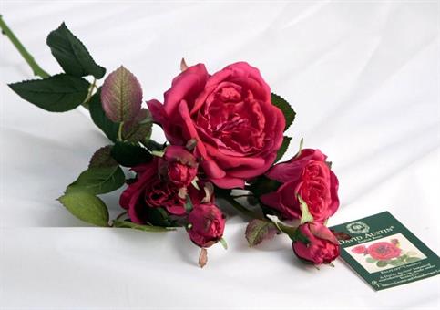FALSTAFF SPRAY 3 FIORI BURGUNDY