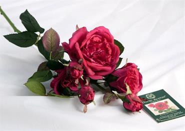 FALSTAFF SPRAY 3 FIORI BURGUNDY
