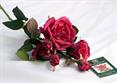 FALSTAFF SPRAY 3 FIORI BURGUNDY