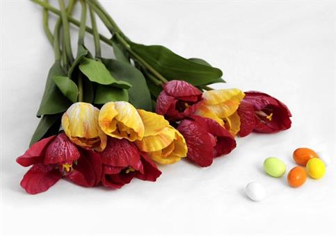 TULIPANO DUE FOGLIE