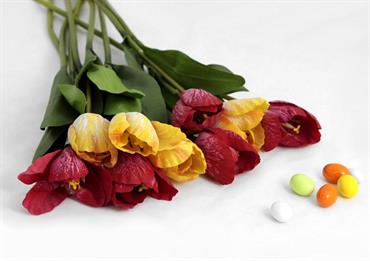 TULIPANO DUE FOGLIE
