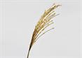 DECOR SPRAY BIANCO/ORO - cm.58