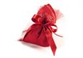 SACCHETTO LAUREA - cm.22x12