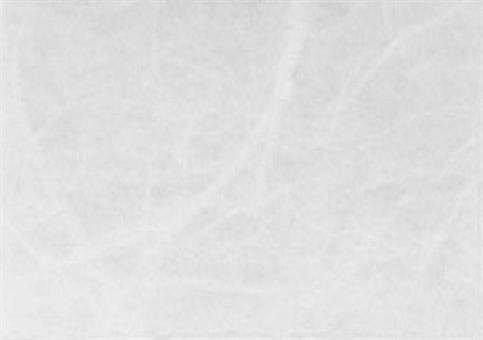 CARTA RISO Bianco - Cm.100 mt.5