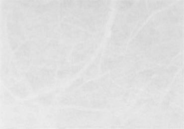 CARTA RISO Bianco - Cm.100 mt.5
