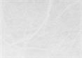 CARTA RISO Bianco - Cm.100 mt.5