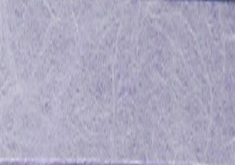 CARTA RISO Lilla - Cm.100 mt.5
