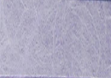 CARTA RISO Lilla - Cm.100 mt.5