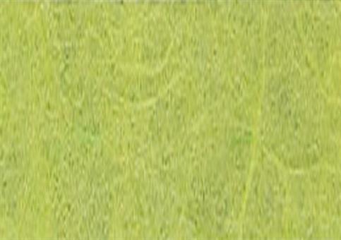 CARTA RISO Verde pisello - Cm.100 mt.5