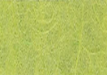 CARTA RISO Verde pisello - Cm.100 mt.5