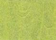 CARTA RISO Verde pisello - Cm.100 mt.5