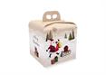 AST.PANETTONE alto S.CLAUS SLED 20X20X18 n