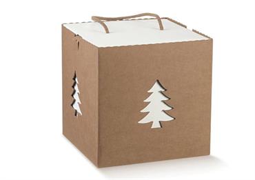 BOX CORDINI AVANA con ABETE - Cm.21x21x21
