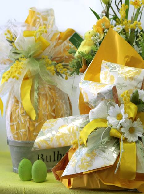 linea-sunny